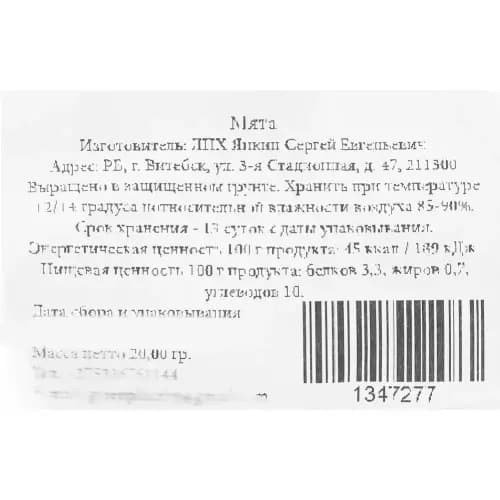Мята, 2