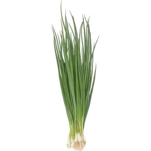 Лук