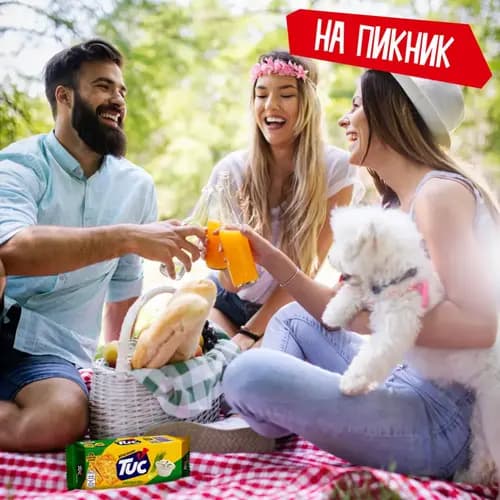Tuc Salted Cracker with Sour Cream and Onion Flavor, 100 g 3