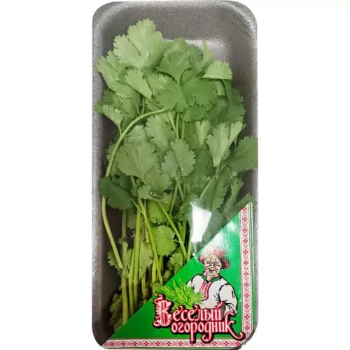 Кинза Веселый огородник Кинза,