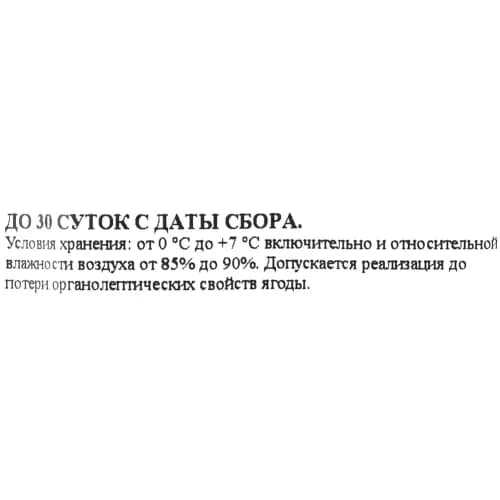 Голубика Сонюшко стакан, 2