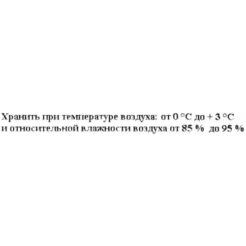 Кинза, 2