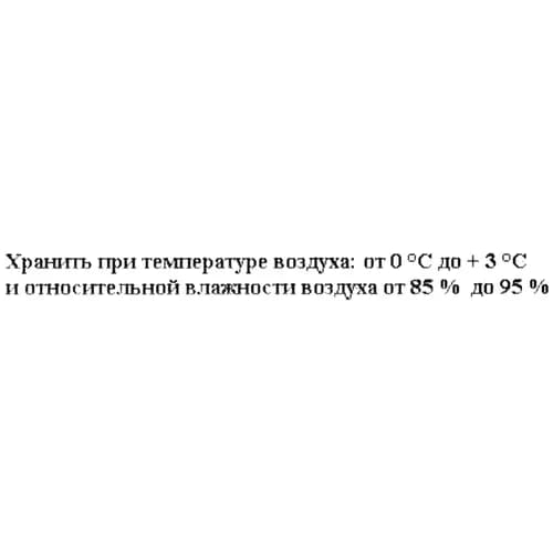 Базилик, 2
