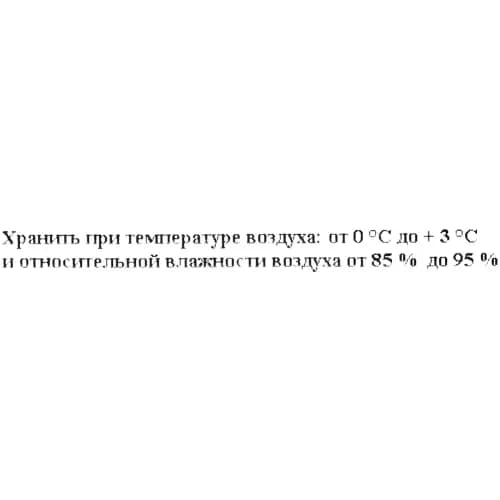 Розмарин, 2