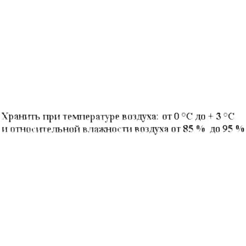 Рукола, 2
