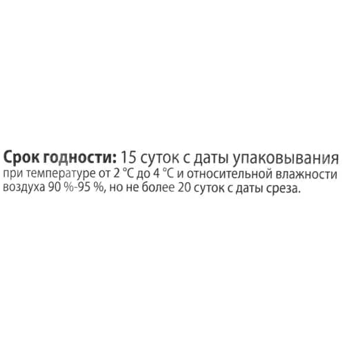 Лук зеленый ЭкоФол, 2