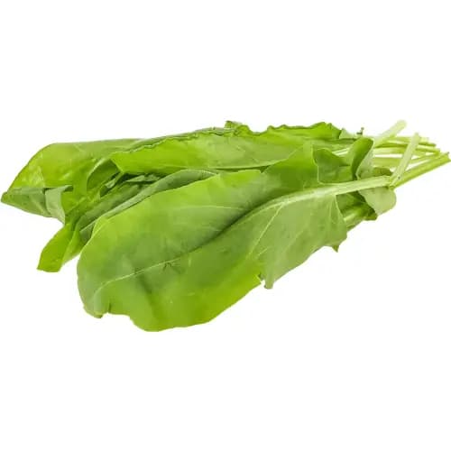 Щавель,
