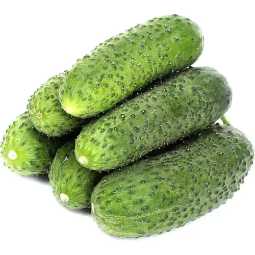 Огурцы