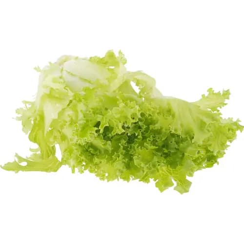 Салат Green Place Лоло Биондо,